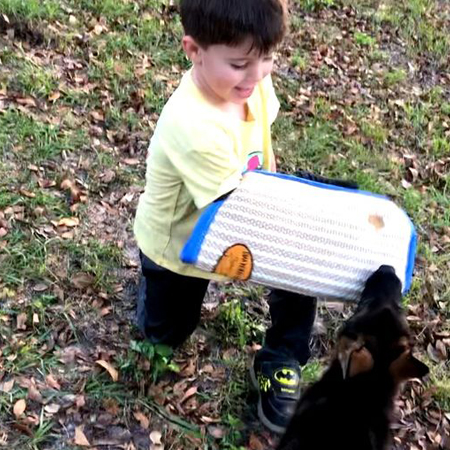 DDR puppy and little boy learning Schutzhund